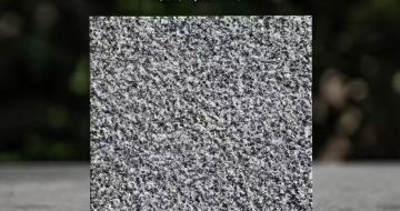 陕西 芝麻黑荔枝面