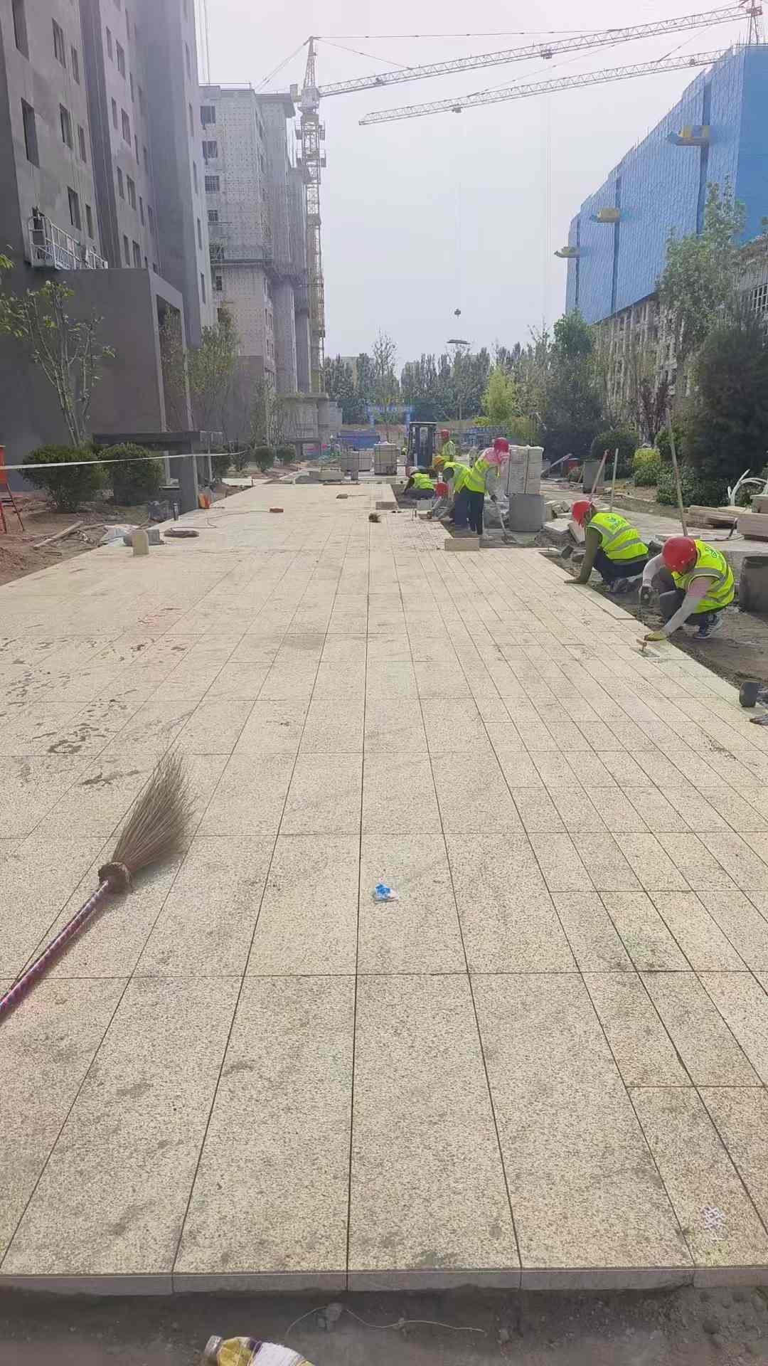 陕西黄金麻荔枝面地铺案例