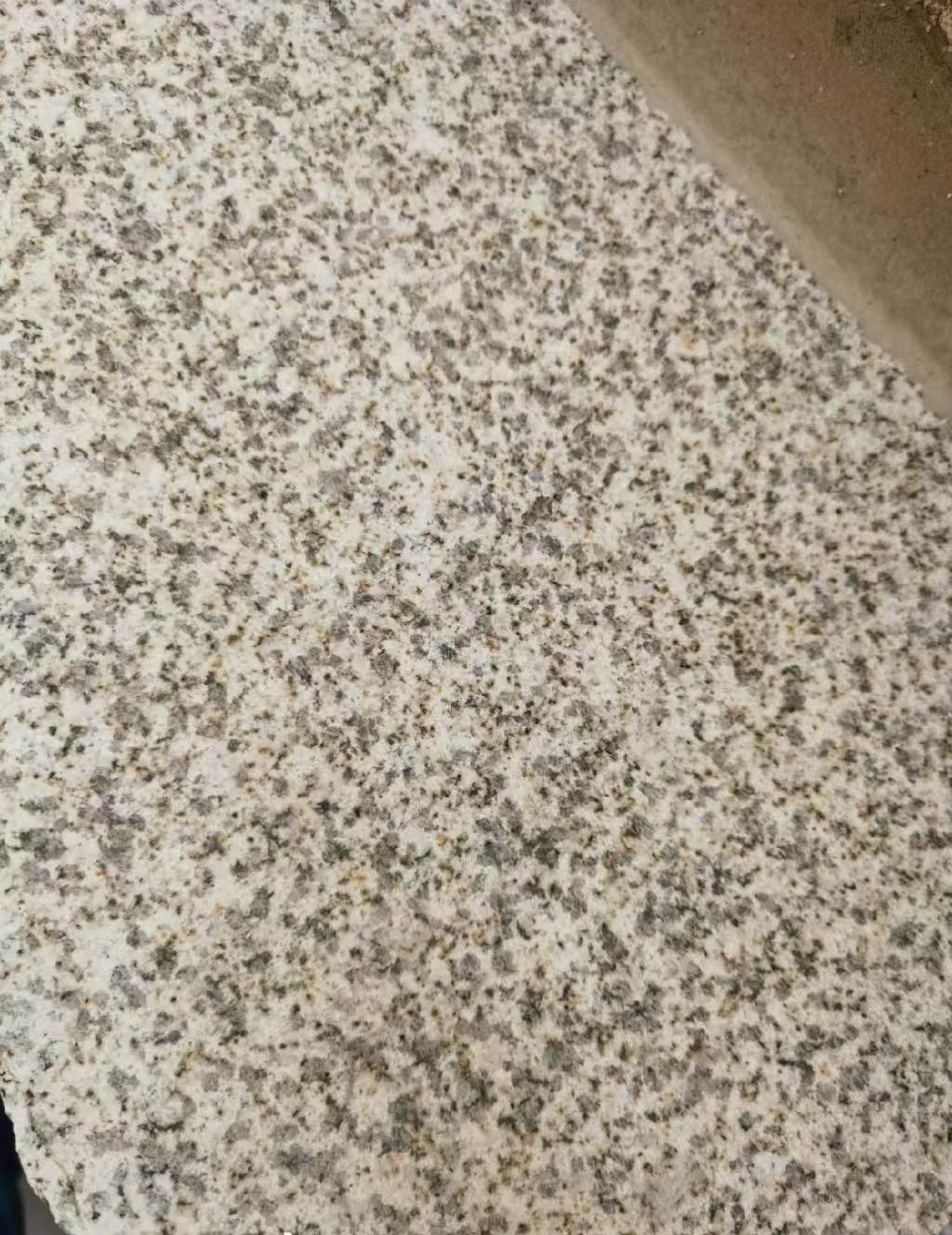 陕西 黄金麻中黄光面