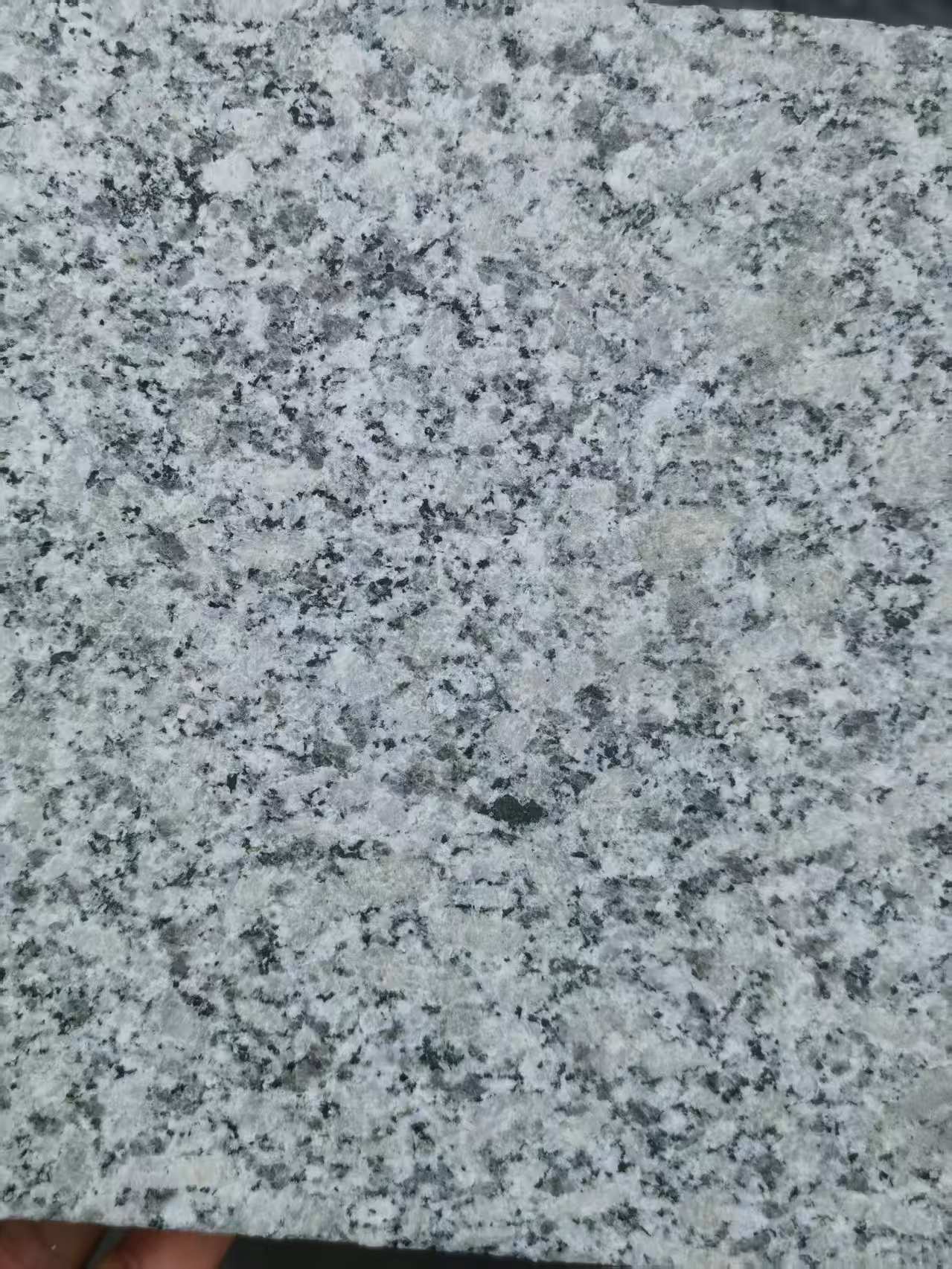 陕西 芙蓉白火烧面